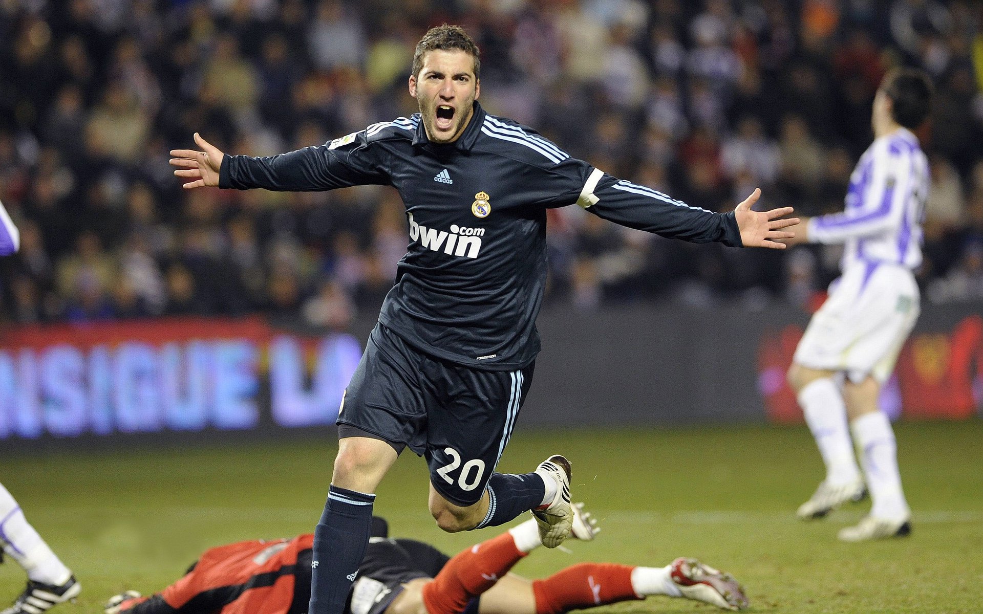 国王跨过猛龙尸骸，解锁的竟是王朝密码？